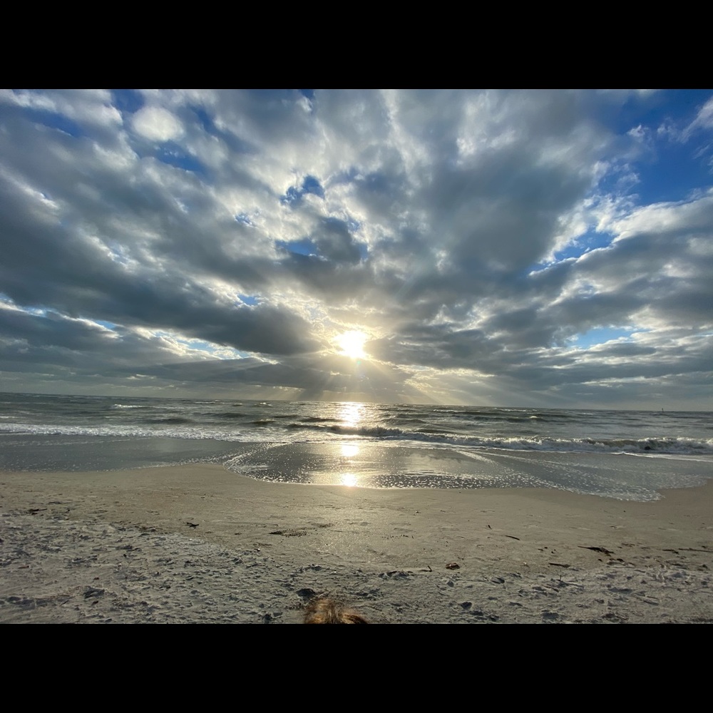 Meet your Posher, DealsbySH